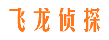 布尔津市调查公司